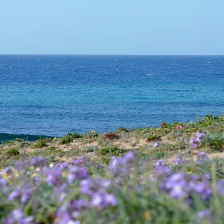Aparthotel Cala 3*